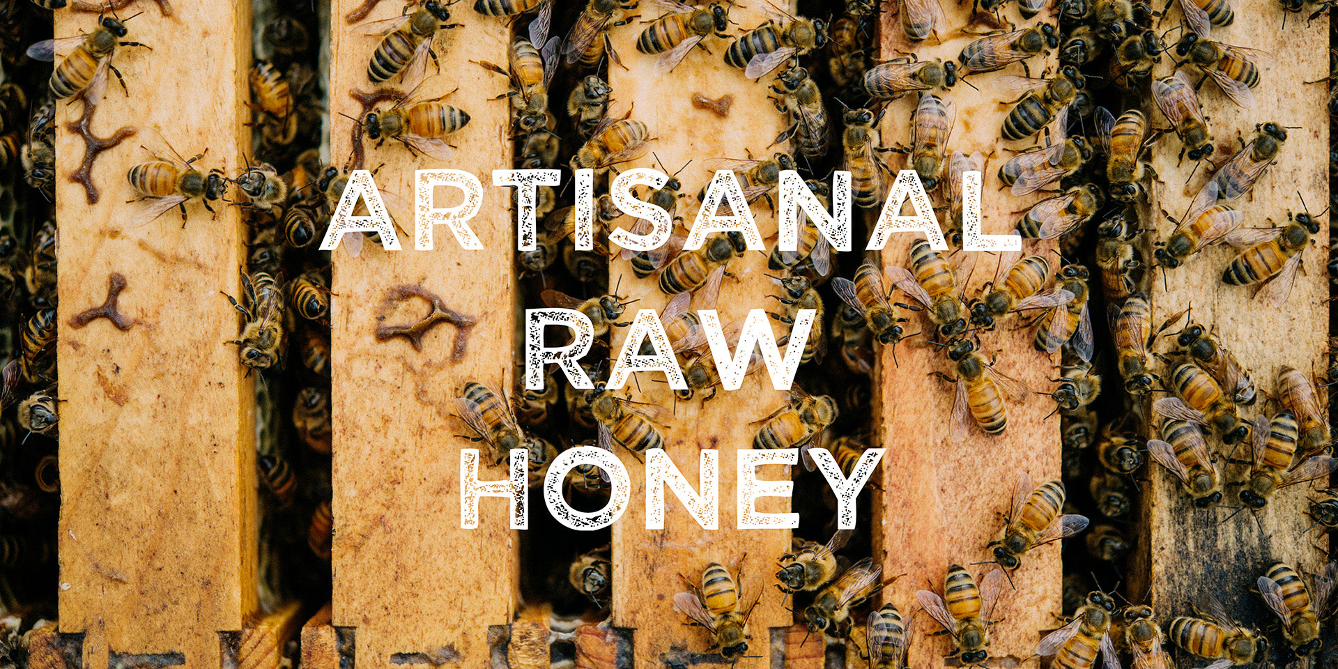 Artisanal Raw Honey with honeybees